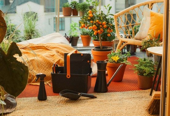 Poznaj narzędzia do pielęgnacji roślin domowych